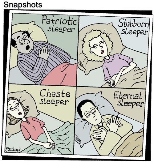 Four different kinds of sleepers.