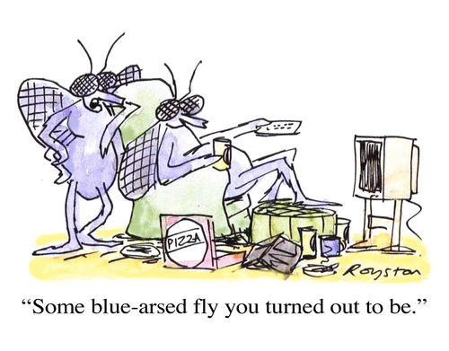 'Some blue-arsed fly you turned out to be.'