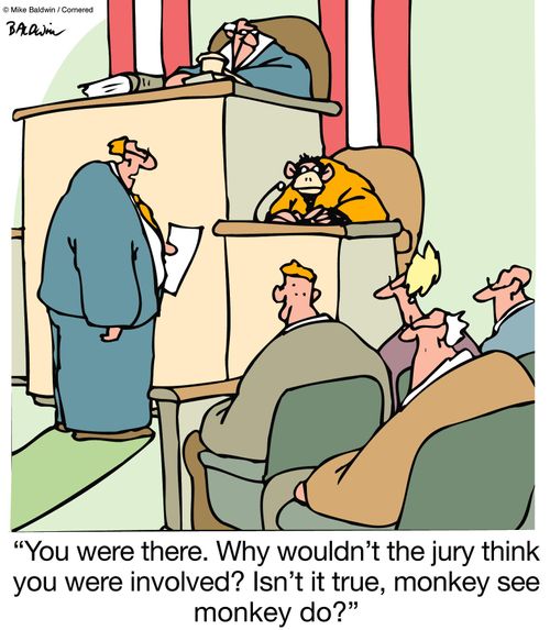'You were there. Why wouldn't the jury think you were involved? Isn't it true, monkey see monkey do?'