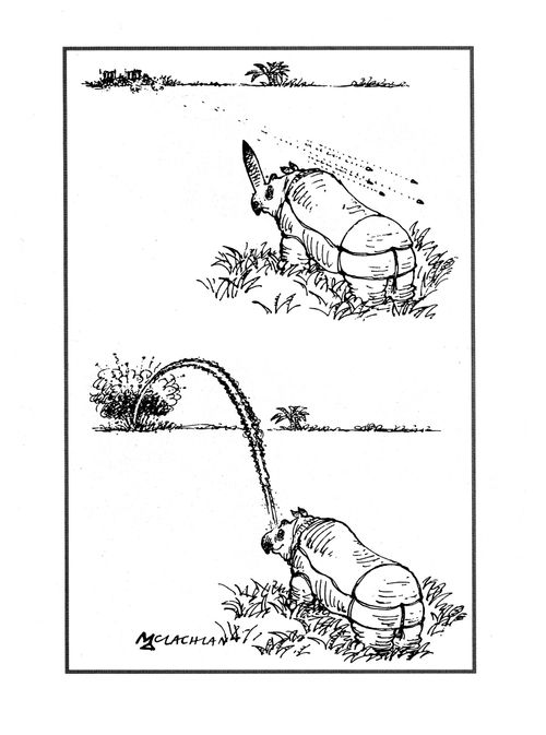 Rhinoceros fires a rocket at a small village.