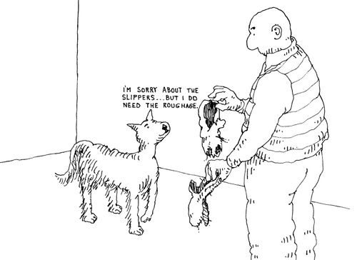 'I'm sorry about the slippers...but I do need the roghage.'