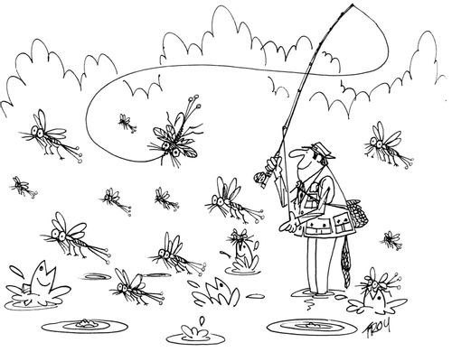 Fly-fishing.