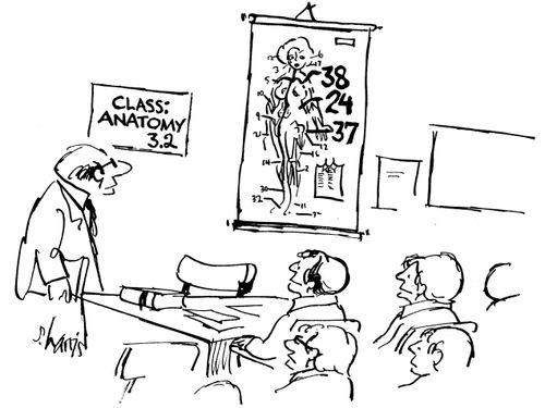 Class anatomy 3.2 - female poster has women's measurements on.