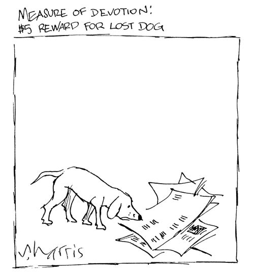 Measure of devotion: $5 reward for lost dog.