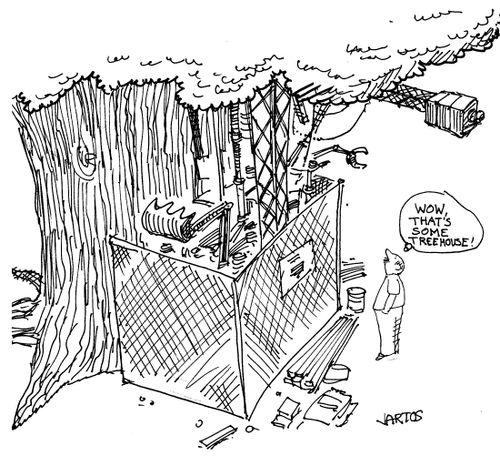 'Now that's some treehouse!'