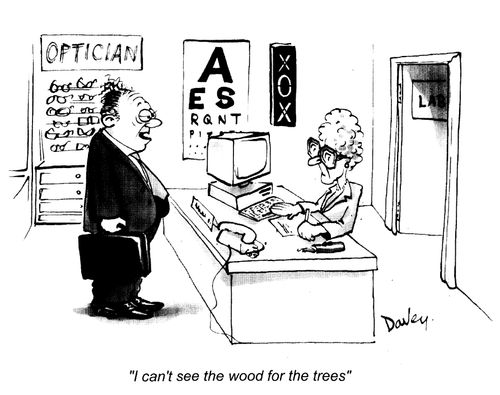 "I can't see the wood for the trees."