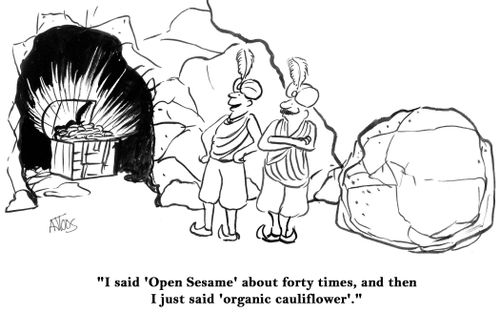 'I said 'open sesame' about forty times, and then I just said 'organic cauliflower'.'