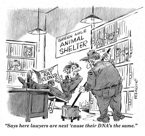 Animal shelter helper reading article 'Rat Cloned'. He reports, 'Says here lawyers are next 'cause their DNA's the same.'