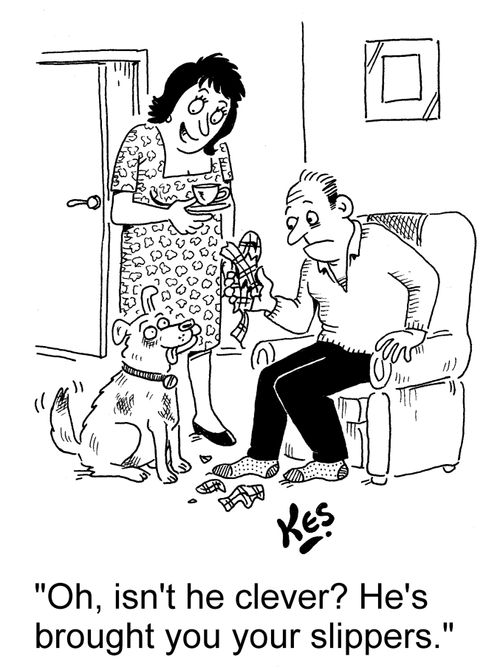 'Oh, isn't he clever? He's brought you your slippers.'