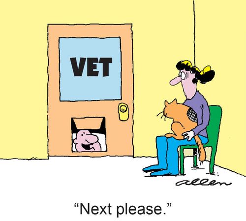 'Next please.'
