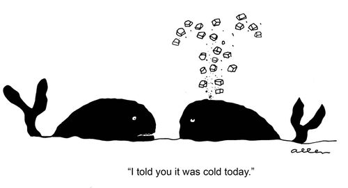 'I told you it was cold today.'