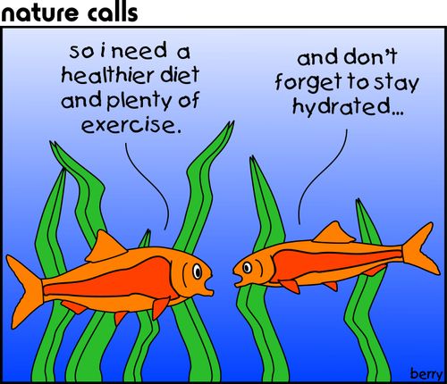 "So I need a healthier diet and plenty of exercise."  "And don't forget to stay hydrated..."