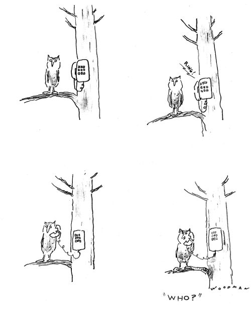 Owl answers telephone.