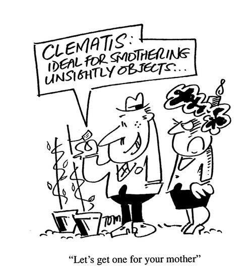 'Let's get one for your mother.'