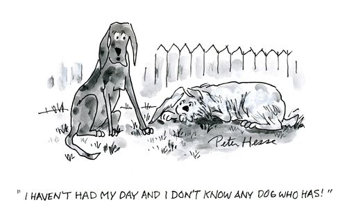 'I haven't had my day and I don't know any dog who has.'