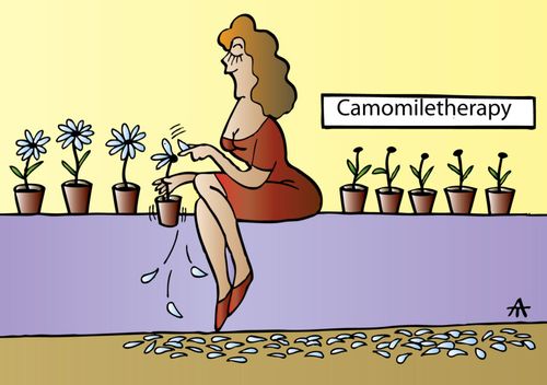 Camomiletherapy