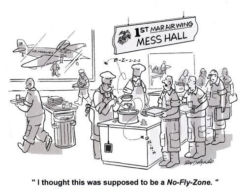 'I thought this was supposed to be a no fly zone.'