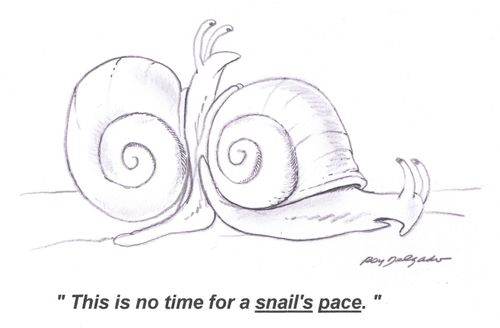 'This is no time for a snail's pace.'