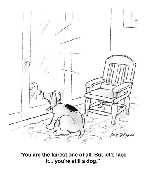 'You are the fairest one of all. But let's face it... you're still a dog.'