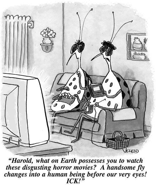 'Harold, what on Earth possesses you to watch these disgusting horror movies? A handsome fly changes into a human being before our very eyes! ICK!'