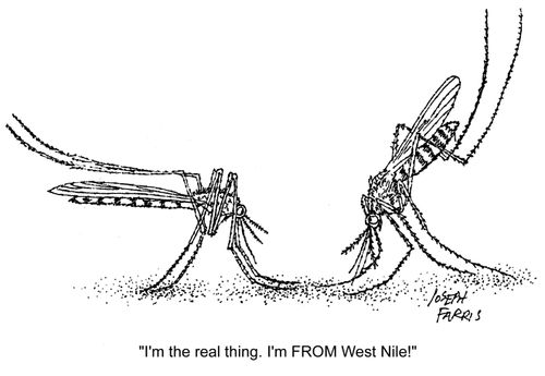 'I'm the real thing. I'm FROM the West Nile.'