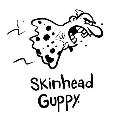 Skinhead guppy.