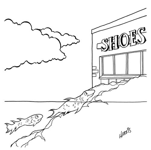 Fish coming ashore to shop for shoes