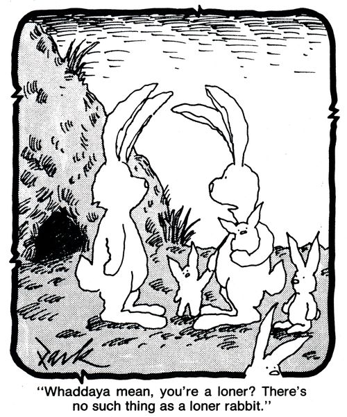 'Whaddaya mean, you're a loner? There's no such thing as a loner rabbit.'