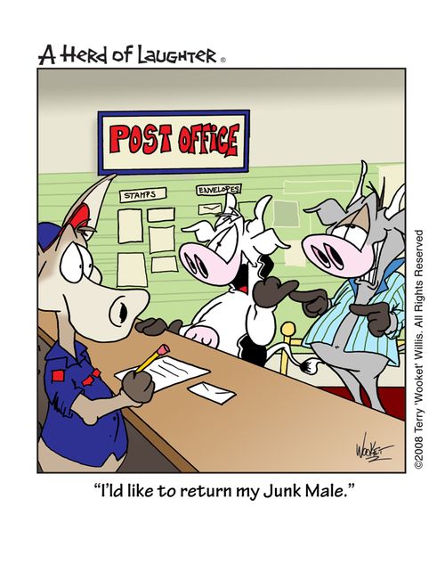 'I'ld like to return my Junk Male.'