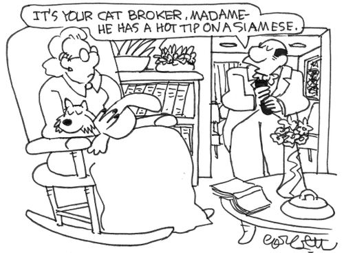 "It's your cat broker, Madame - he has a hot tip on a Siamese."
