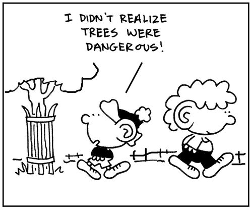 'I didn't realize trees were dangerous!'