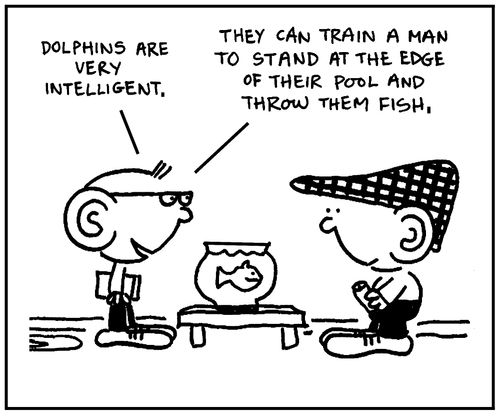 'Dolphins are very intelligent, they can train a man to stand at the edge of their pool and throw them fish.'
