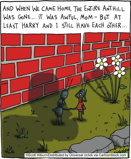 And when we came home, the entire anthill was gone... It was awful, Mom - but at least Harry and I still have each other...