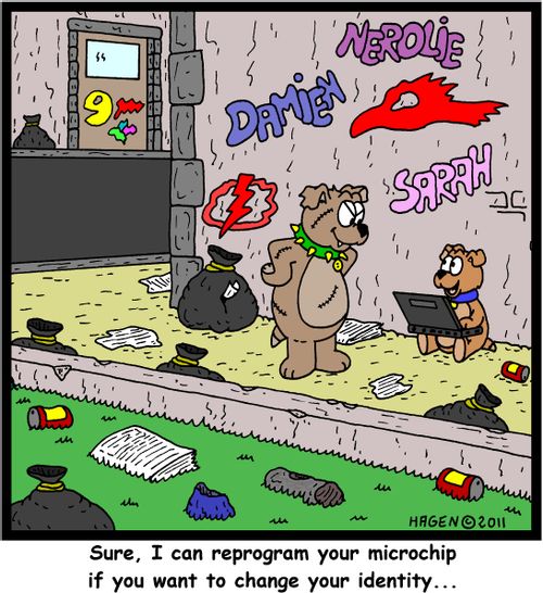 'Sure, I can reprogram your microchip if you want to change your identity...'