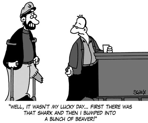 'Well, it wasn't my lucky day... first there was that shark and then I bimped into a bunch of beaver!'