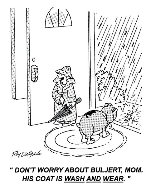 'Don't worry about buljet, Mom. His coat is wash and wear.'