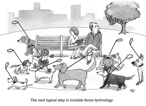 The next logical step in invisible fence technology.