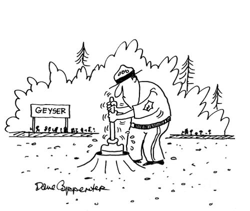 Malfunctioning geyser