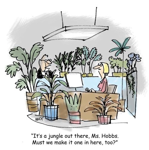 'It's a jungle out there, Ms. Hobbs. Must we make it one in here, too?'