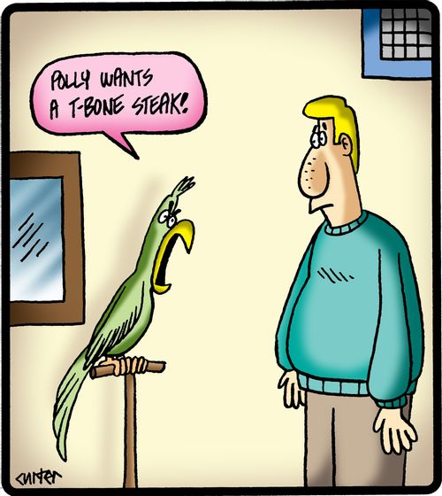 'Polly wants a T-bone steak.'