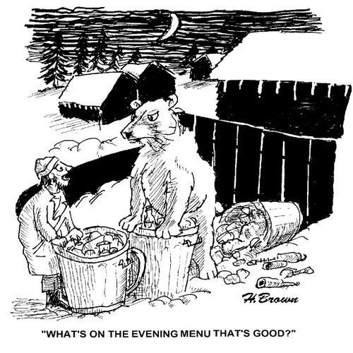 'What's on the evening menu that's good?'