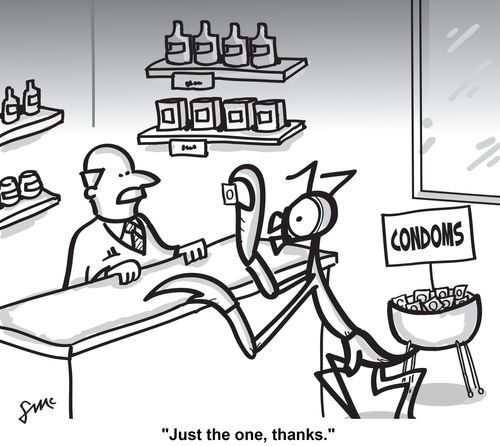 'Just the one, thanks.'
