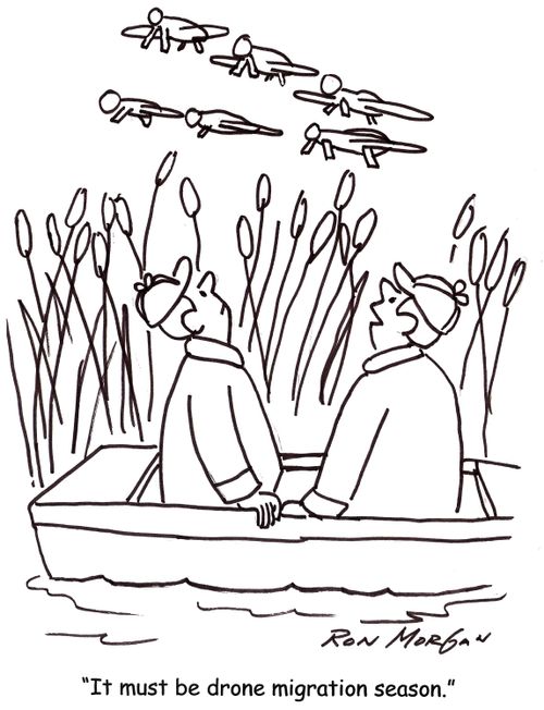 'It must be drone migration season.'
