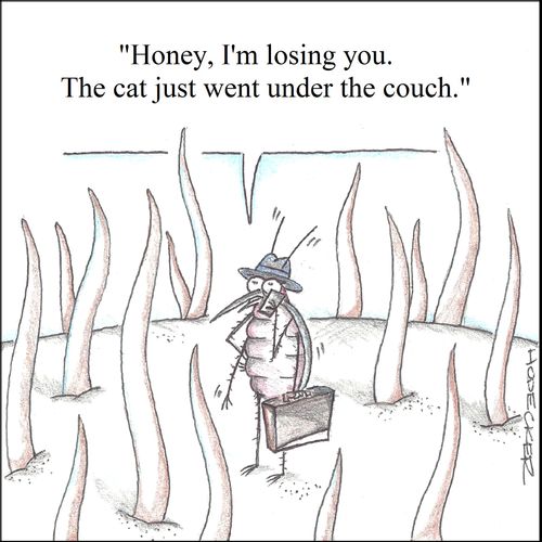 'Honey, I'm losing you. The cat just went under the couch.'