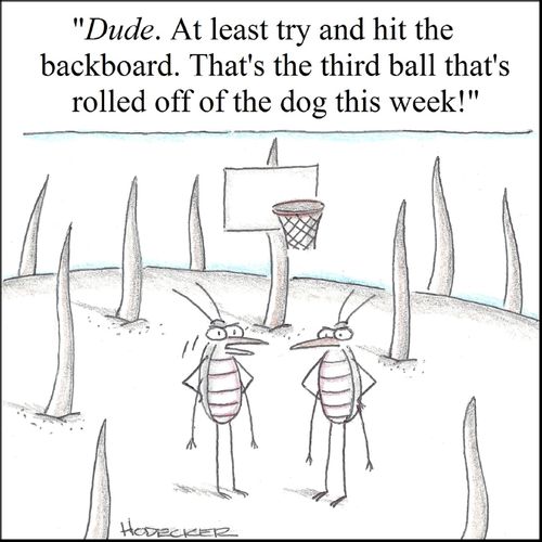 'Dude. At least try and hit the backboard. That's the third ball that's rolled off of the dog this week!'