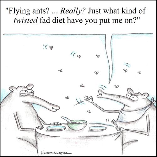'Flying ants?...Really? Just what kind of twisted fad diet have you put me on?'