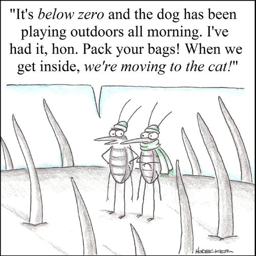 '...Pack your bags. When we get indside, we're moving to the cat.'