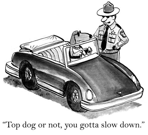 'Top dog or not, you gotta slow down.'