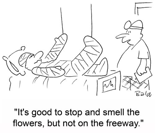 'It's good to stop and smell the flowers, but not on the freeway.'