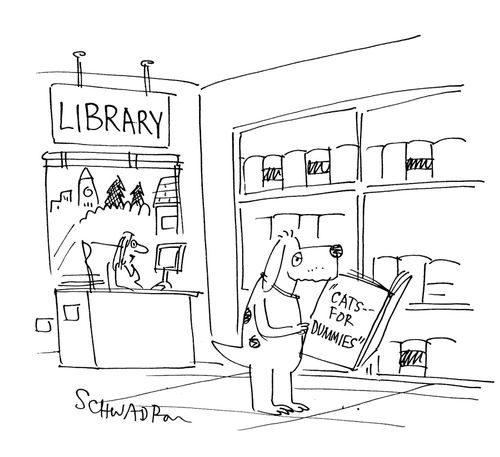 Library - Cats for Dummies.